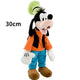  30cm[202599817]