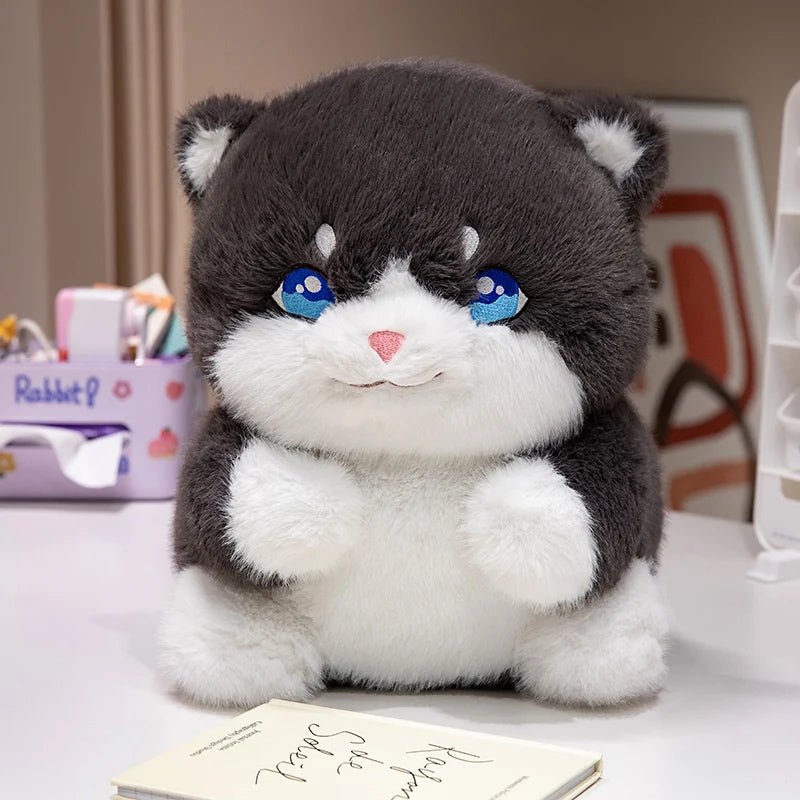 Creative Plush Round Fat Cat Plush Toys Cat Kawaii Animal Pillow Dolls Stuffed Toy