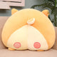  shiba inu