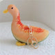  nanguang duck