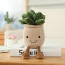  khaki Succulents