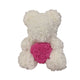  White Rose red H