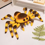 Black Spider Jumping Spider – A Cuddly Surprise from the Shadows