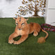  lion 1 25CM