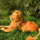  lion 2 25CM