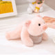  pig