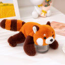  raccoon