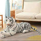  tiger 3 25CM